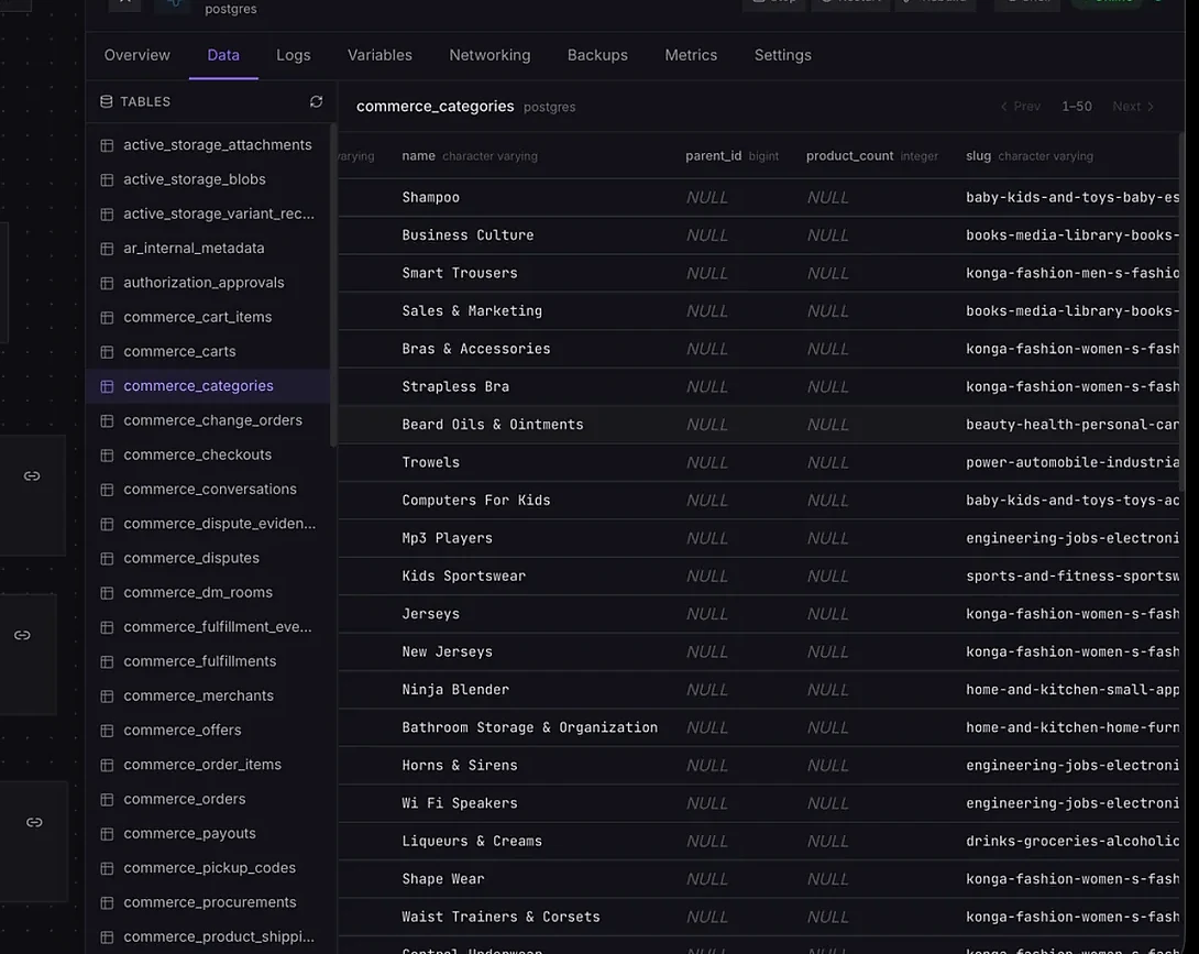 RailDock PostgreSQL browser with backup and metrics tabs